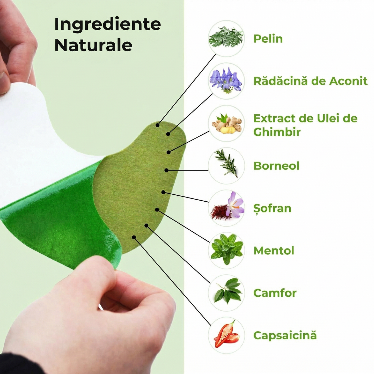 🌿 Plasturi cu Pelin – 24+24 GRATIS