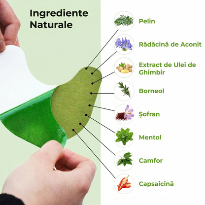 🌿 Plasturi cu Pelin – 24+24 GRATIS